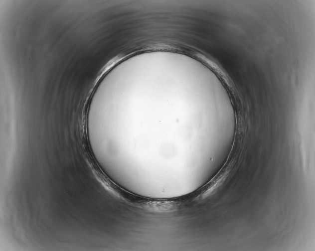 X0000086280858200704262035