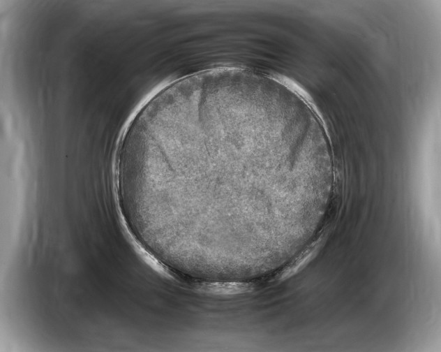 X0000086280859200704262035
