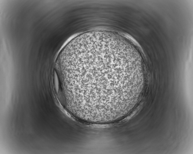 X0000086280860200704262035