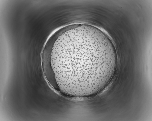 X0000086280862200704262035
