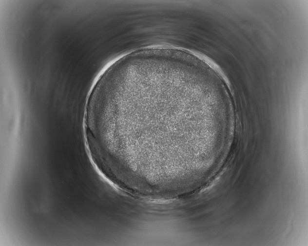 X0000086280863200704262035
