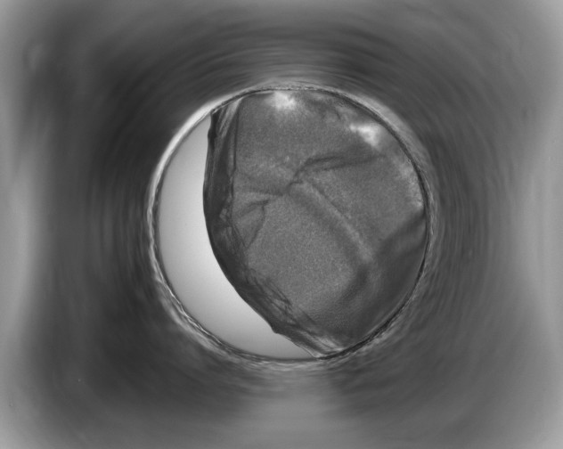 X0000086280864200704262035