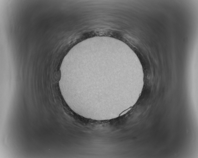 X0000086280865200704262034