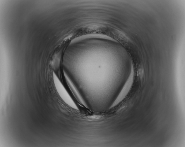 X0000086280868200704262034