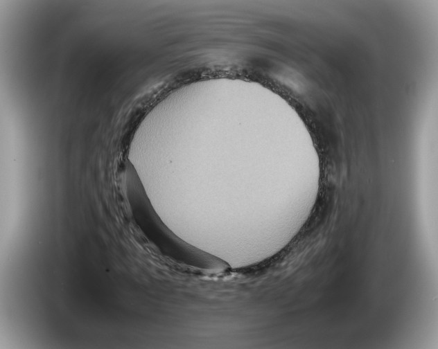 X0000086280869200704262034