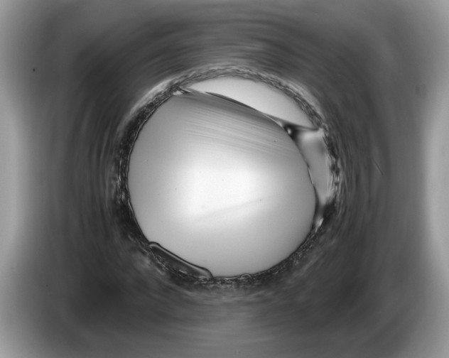 X0000086280872200704262034