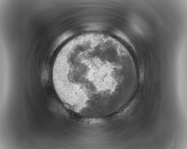 X0000086280874200704262034