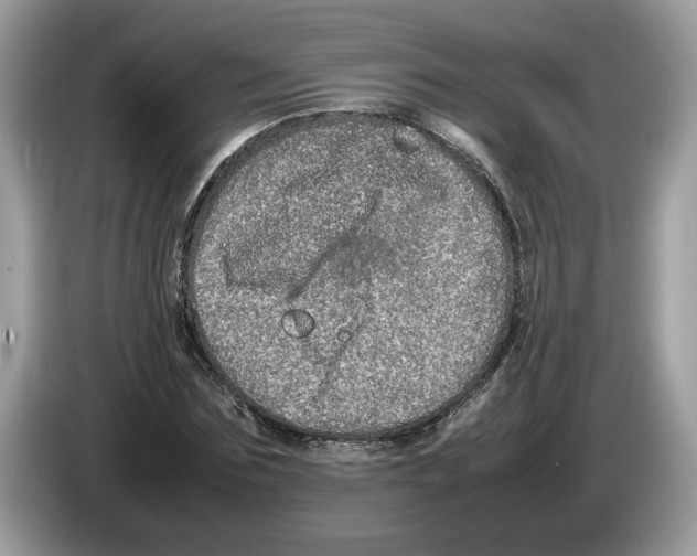 X0000086280875200704262034