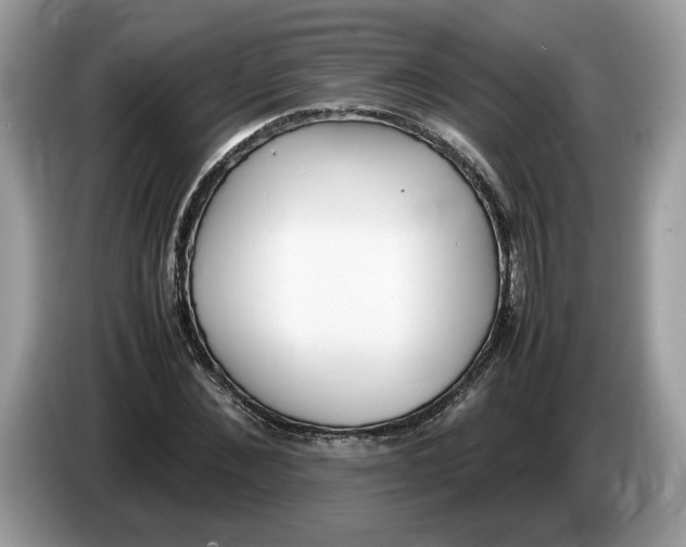 X0000086280876200704262034