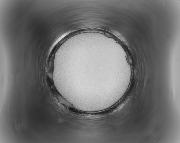 X0000086280877200704262034