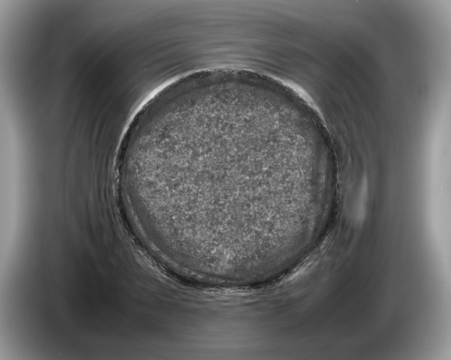 X0000086280879200704262034