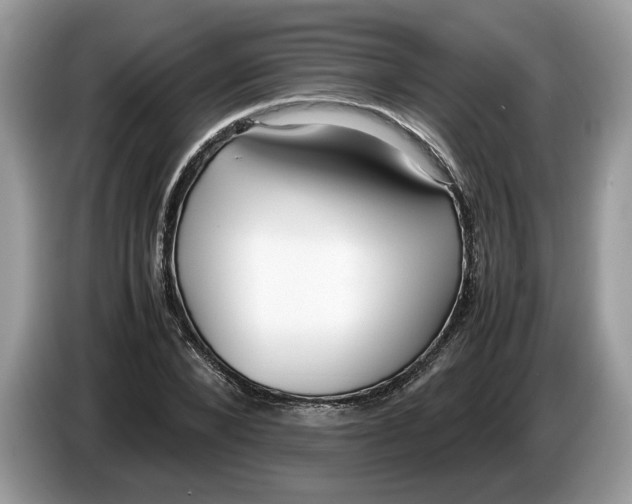 X0000086280880200704262034