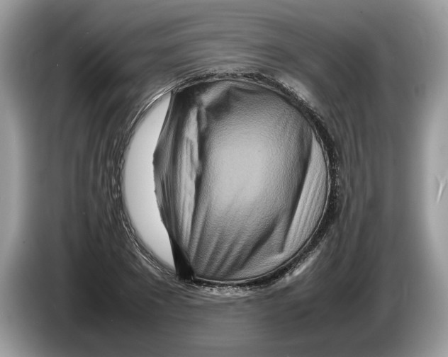 X0000086280881200704262034