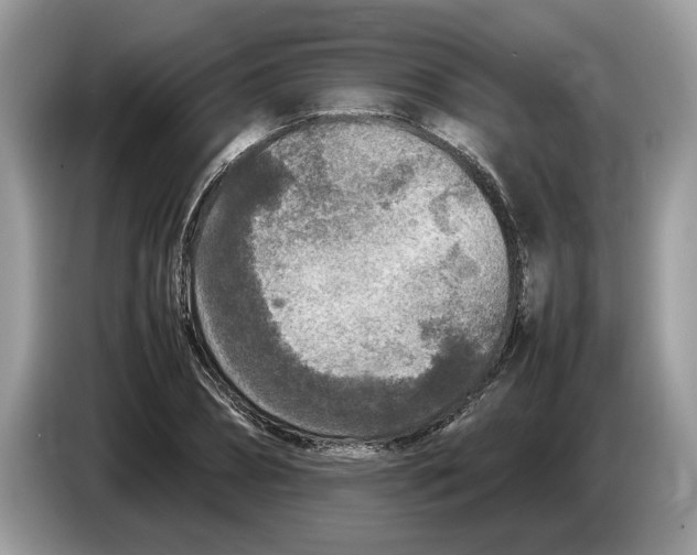 X0000086280882200704262034
