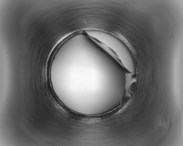 X0000086280884200704262034
