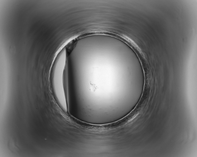 X0000086280885200704262034