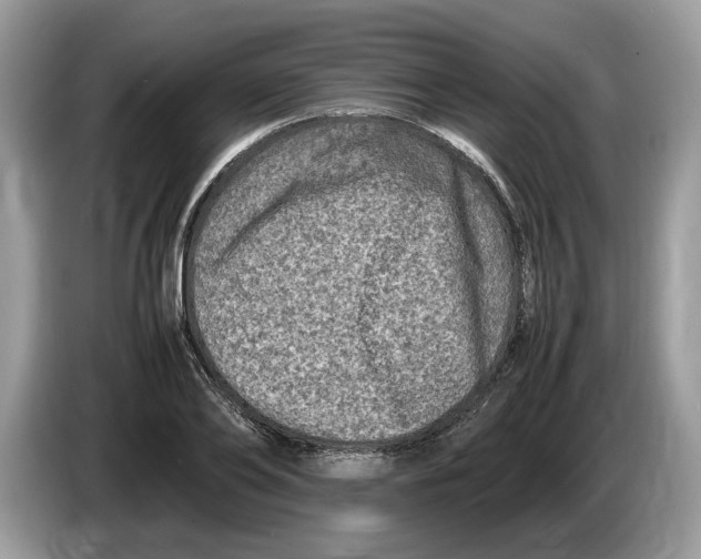 X0000086280886200704262034