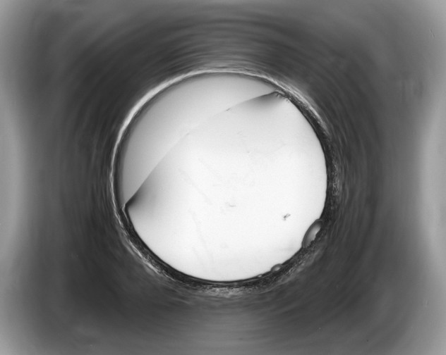 X0000086280888200704262034