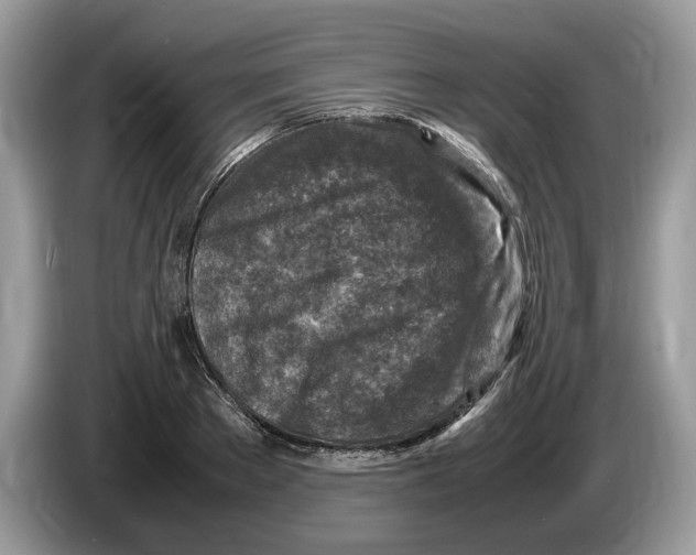 X0000086280889200704262034