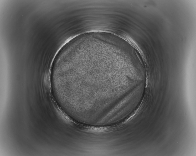 X0000086280892200704262034