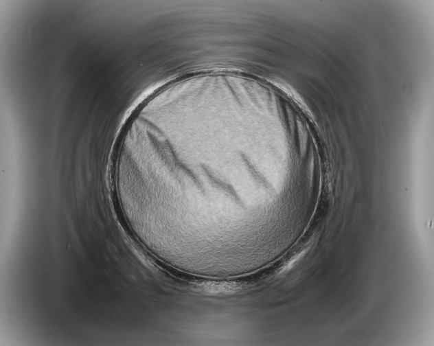 X0000086280893200704262034