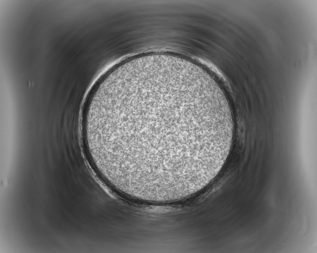 X0000086280894200704262034