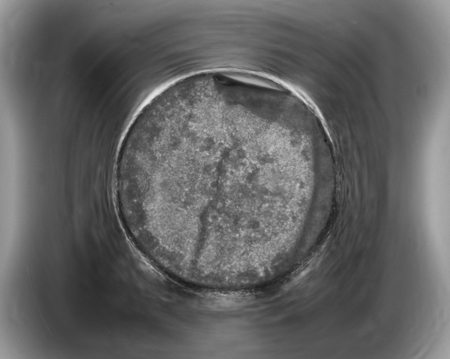 X0000086280895200704262034