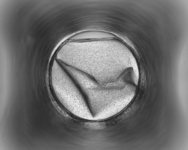 X0000086280896200704262034