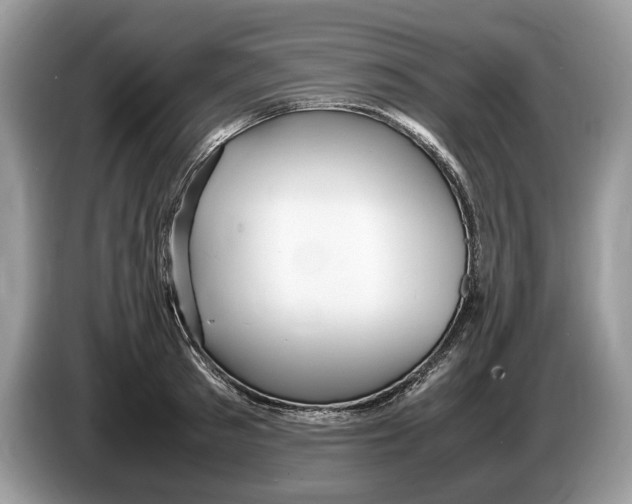 X0000086280897200704262034