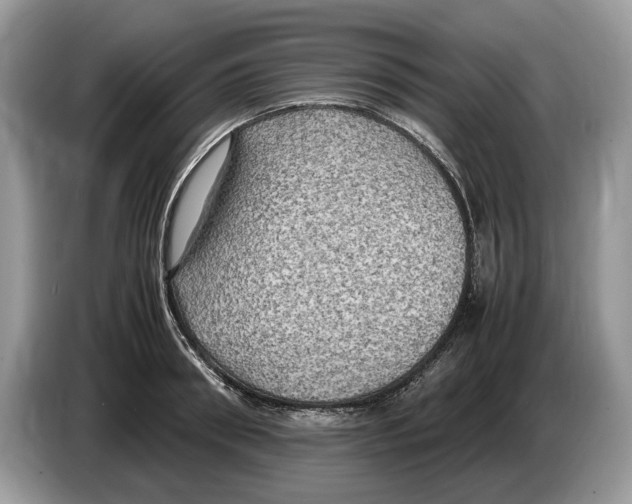 X0000086280898200704262034
