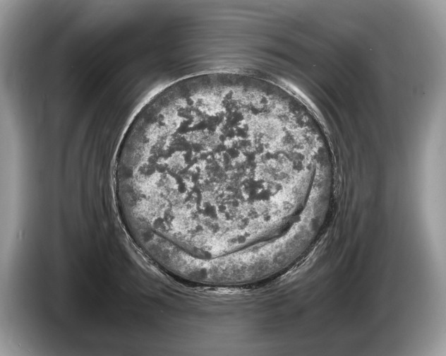 X0000086280899200704262034