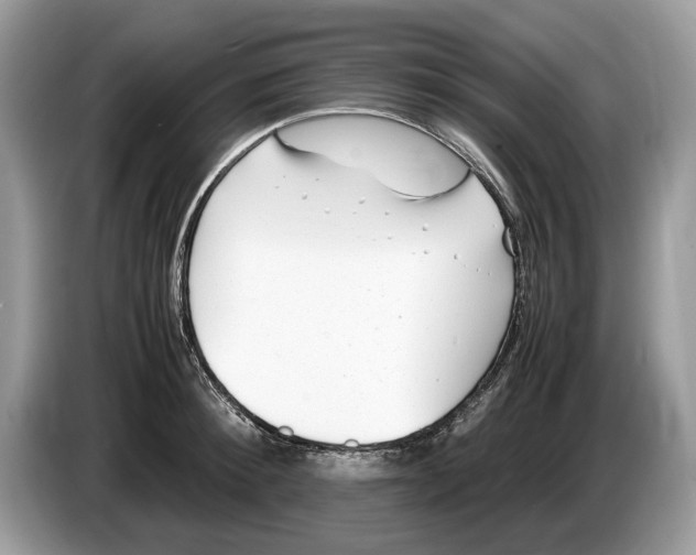 X0000086280900200704262034