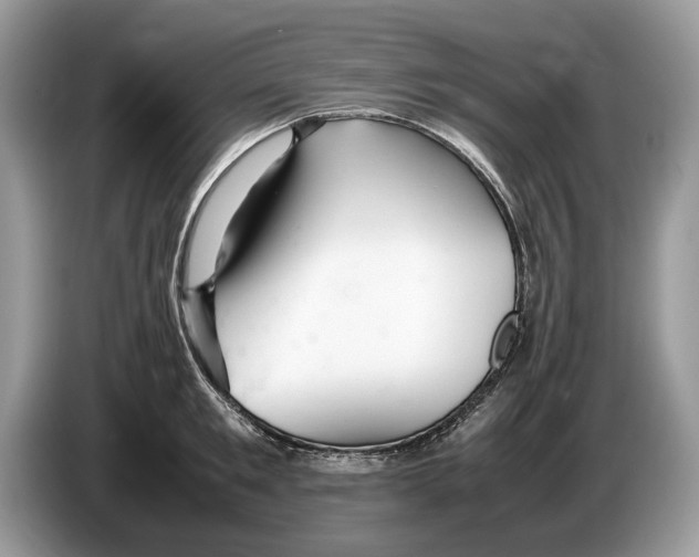 X0000086280901200704262034