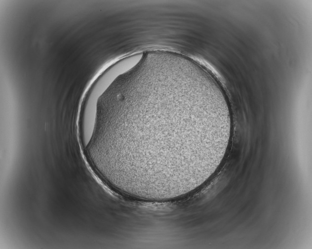 X0000086280902200704262034