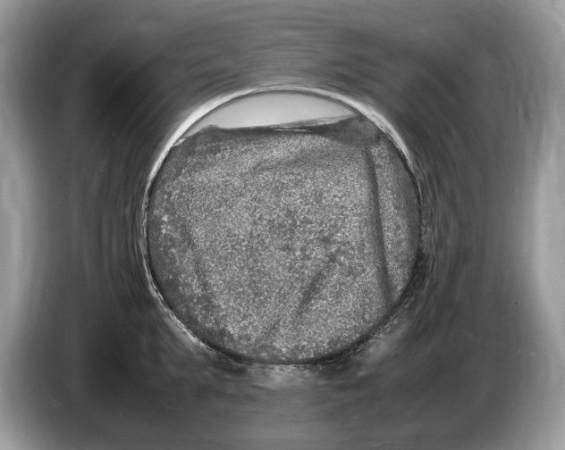 X0000086280903200704262034