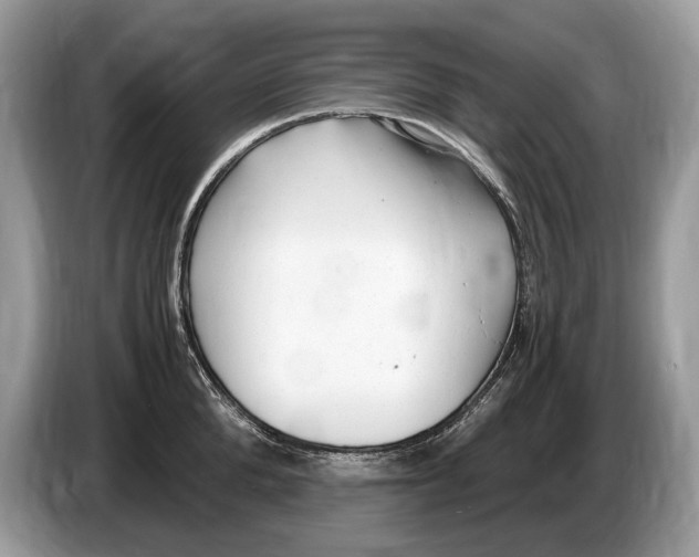 X0000086280904200704262034