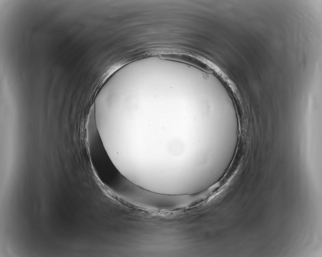 X0000086280905200704262034