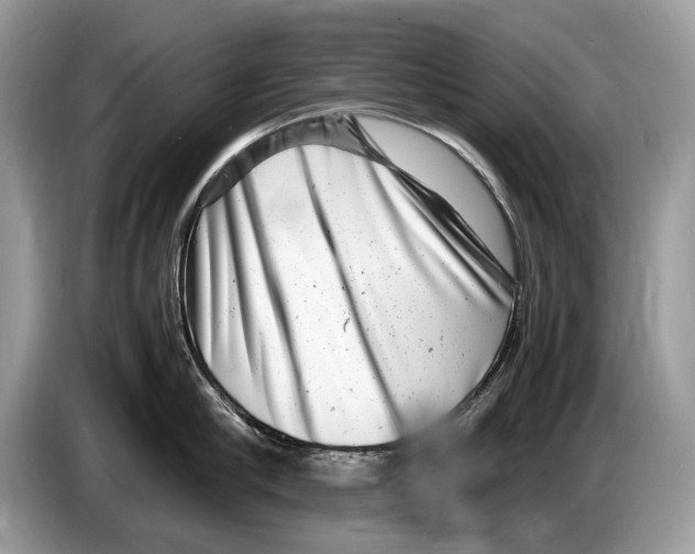 X0000086280910200704262034