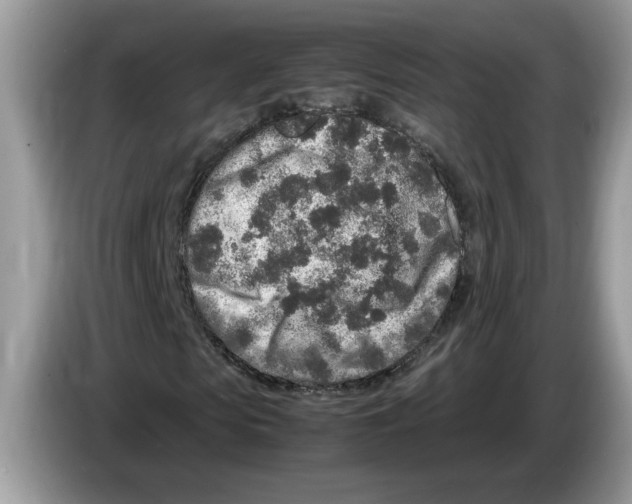 X0000086280913200704262033