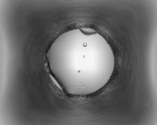 X0000086280914200704262033