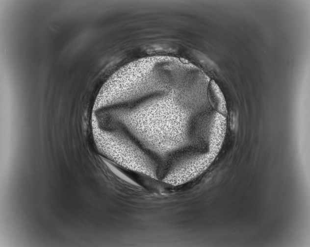 X0000086280915200704262033
