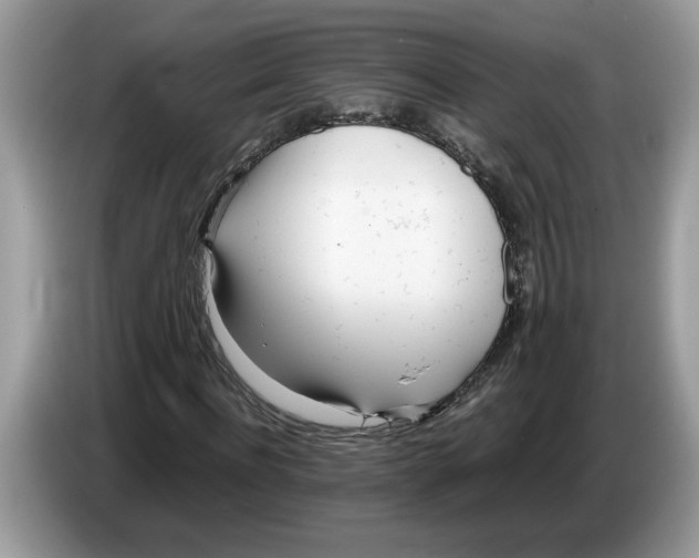 X0000086280916200704262033