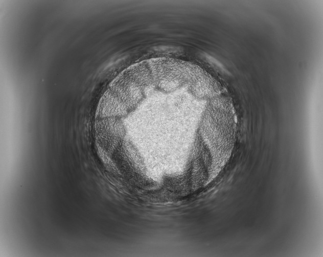 X0000086280917200704262033