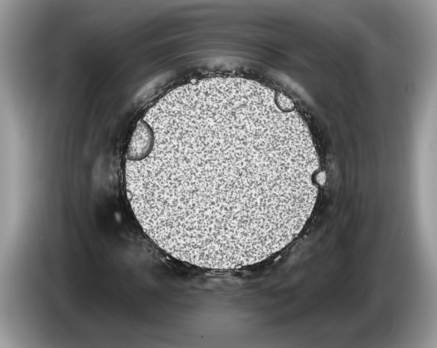 X0000086280918200704262033