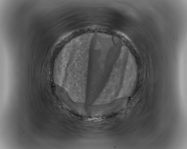 X0000086280919200704262033