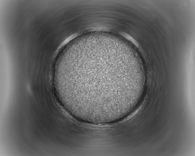X0000086280922200704262033