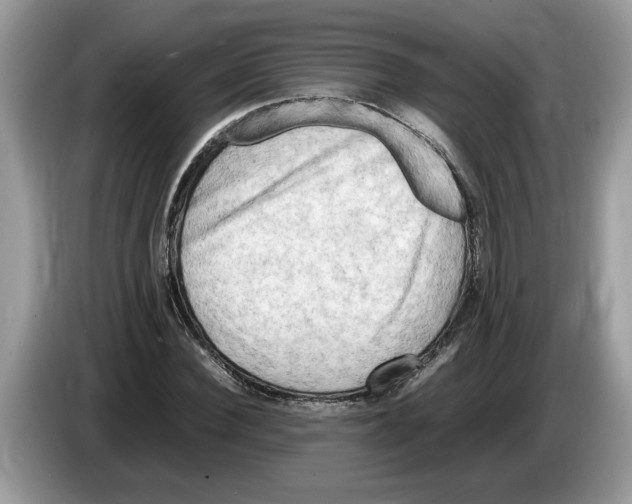 X0000086280924200704262033