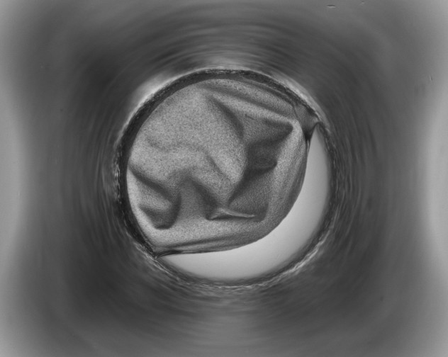 X0000086280926200704262033