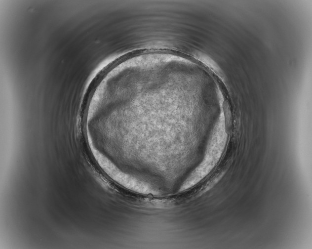 X0000086280928200704262033