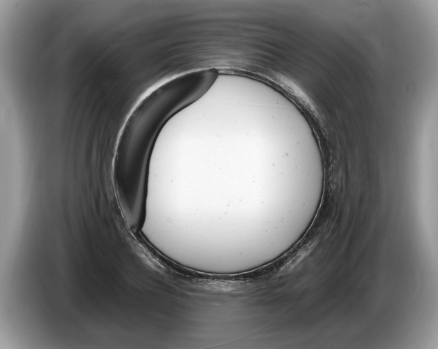 X0000086280932200704262033